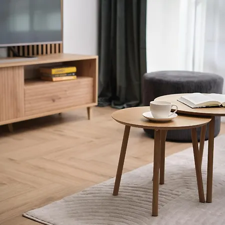 Ina Rent - Mieszczanska Apartament