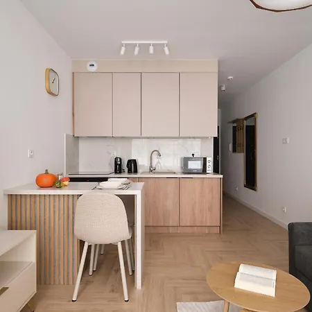 Апартаменты Ina Rent - Mieszczanska *